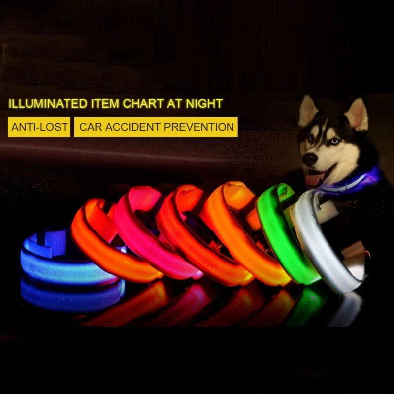 LED-halsband för hund och katt – uppladdningsbart och synligt i mörker upp till 500 m