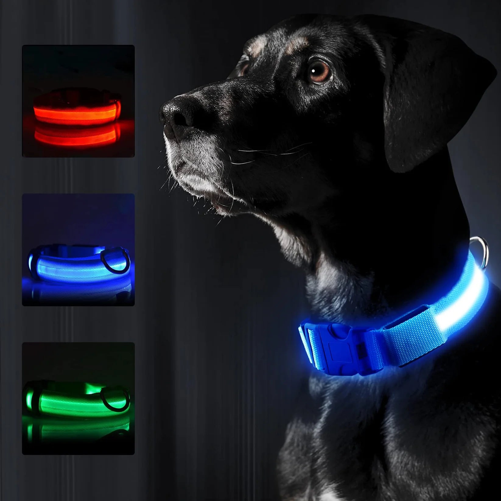LED-halsband för hund och katt – uppladdningsbart och synligt i mörker upp till 500 m