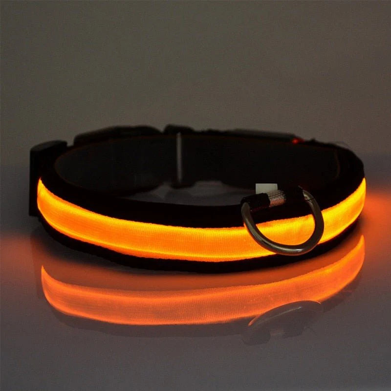 LED-halsband för hund och katt – uppladdningsbart och synligt i mörker upp till 500 m