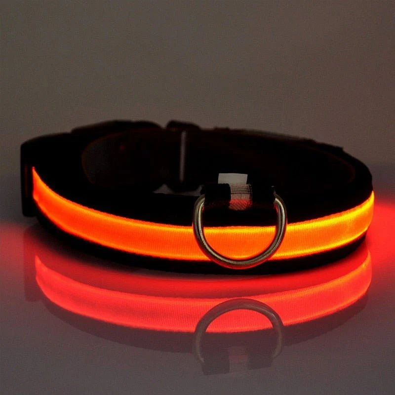 LED-halsband för hund och katt – uppladdningsbart och synligt i mörker upp till 500 m