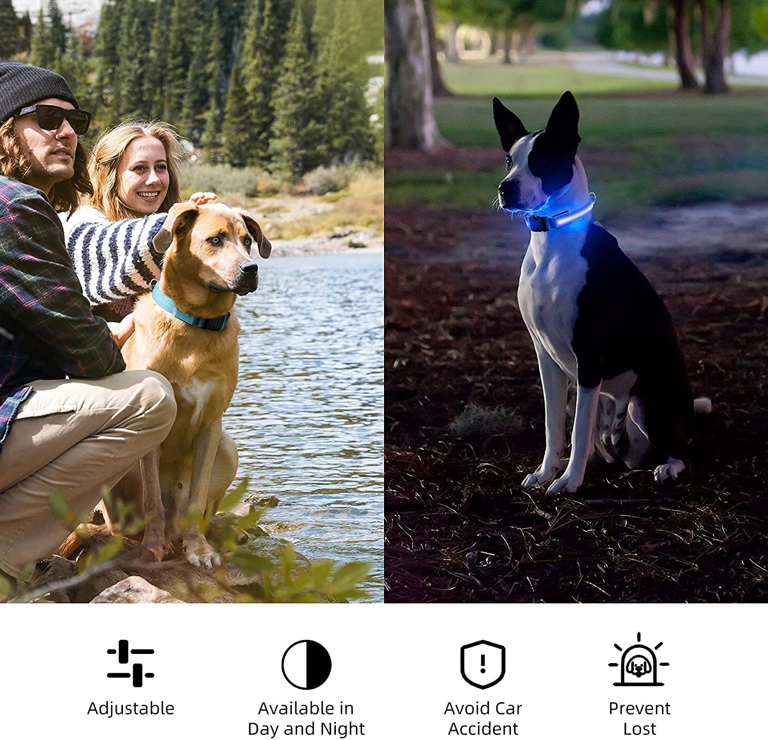 LED-halsband för hund och katt – uppladdningsbart och synligt i mörker upp till 500 m