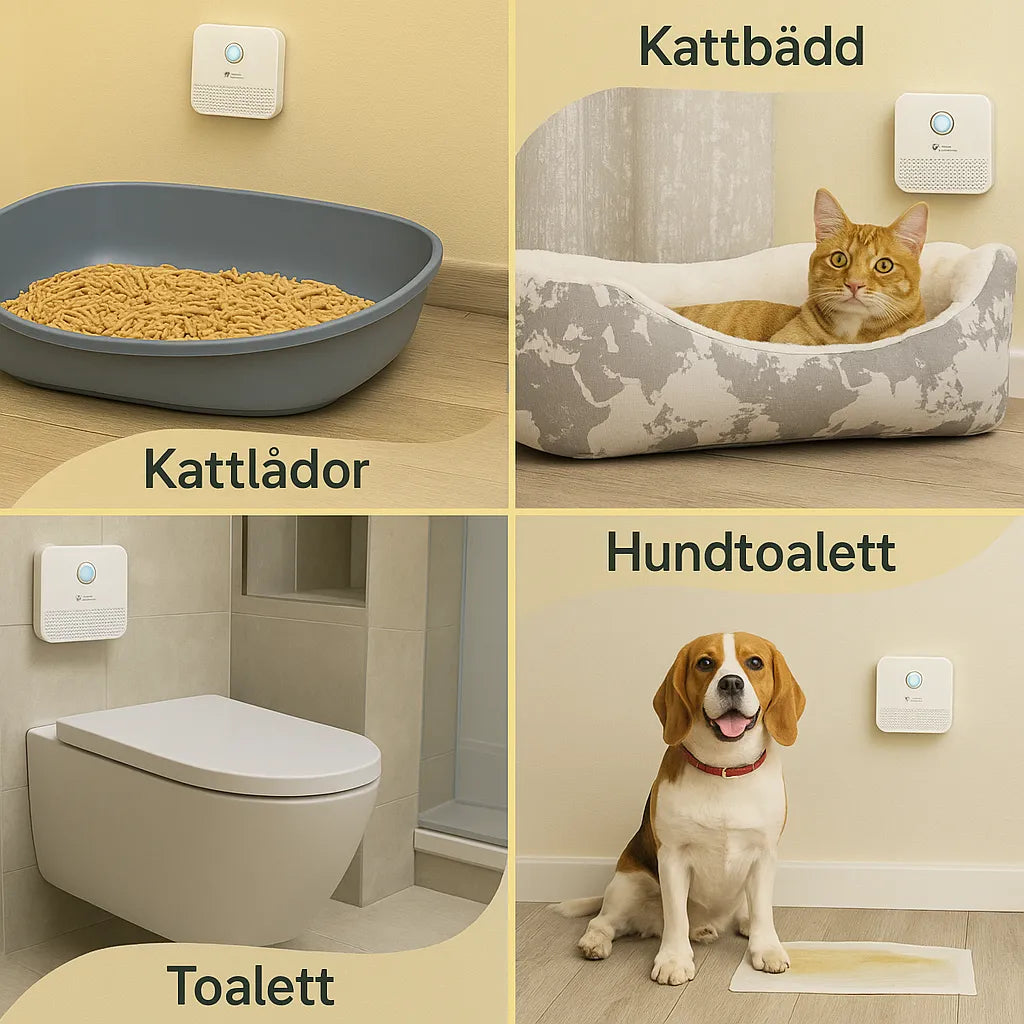 Luftrenare för Kattlåda – Batteridriven & Uppladdningsbar med Kolfilter