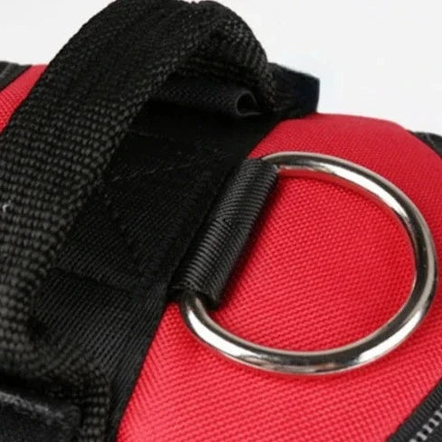 Hundsele i Läder – Justerbar & Reflekterande för Säker Promenad