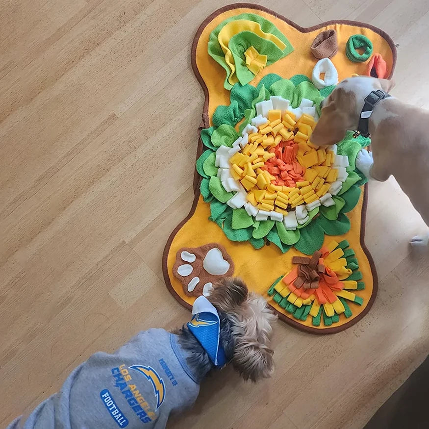 Aktiveringsmatta för Hund & Katt – Rolig Nosövning och Måltidslek