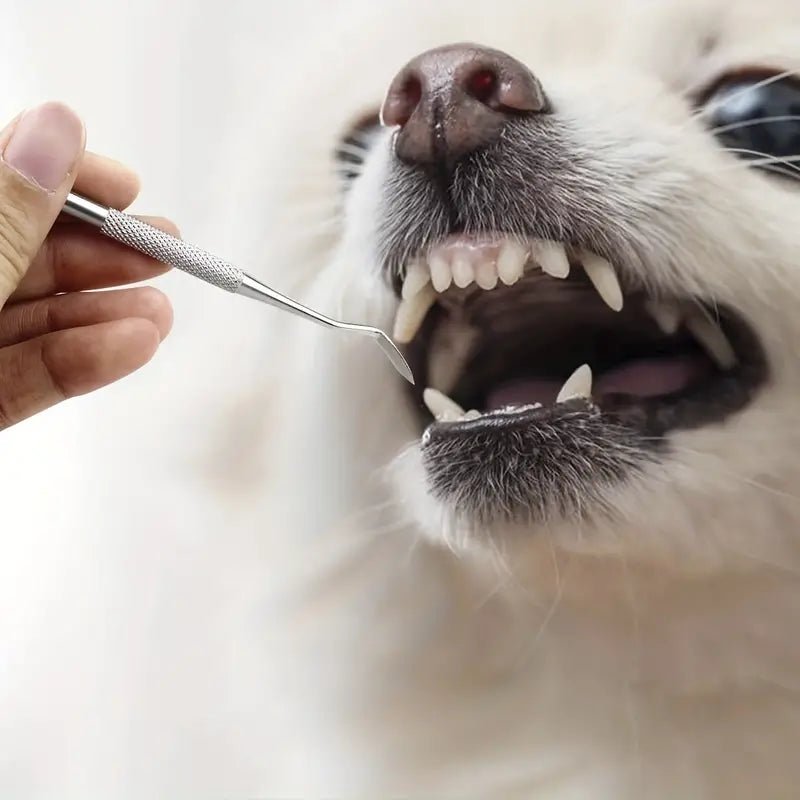 Tandstensskrapa 3 Set – Effektiv Tandvård Hemma för Hund & Katt