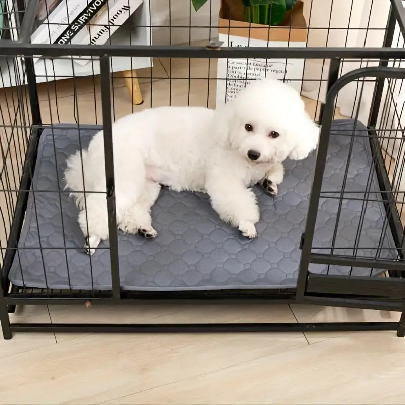 Absorberande hundmatta med 4-lagers skydd – vattentät och luktfri