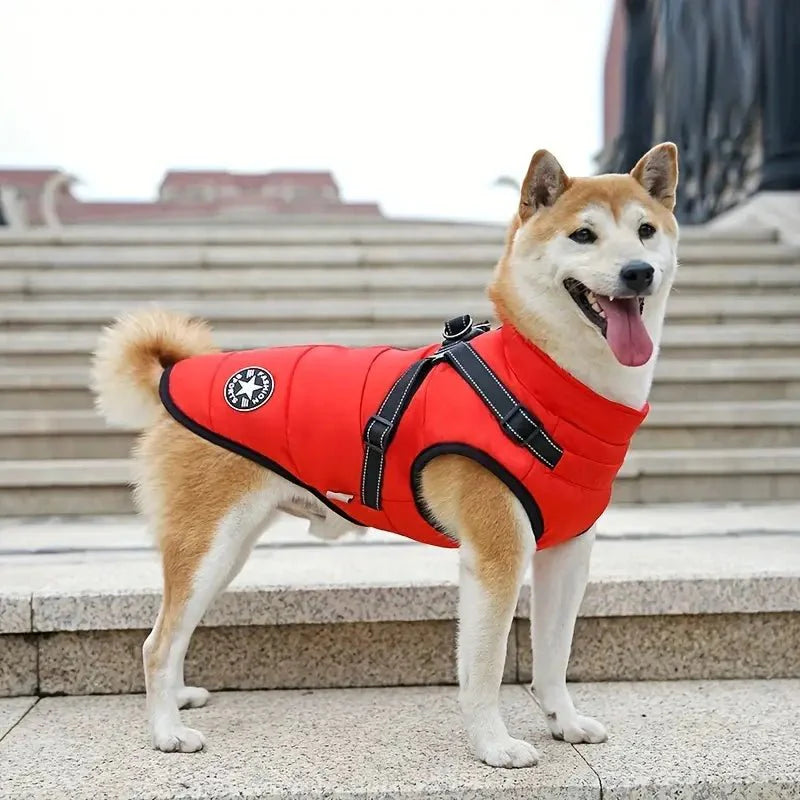 Justerbart Vintertäcke för Hund – Varmt och Bekvämt i Kylan